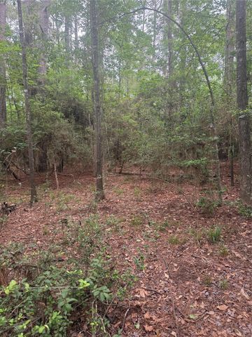 TBD Bilnoski Road, Willis, TX 77378