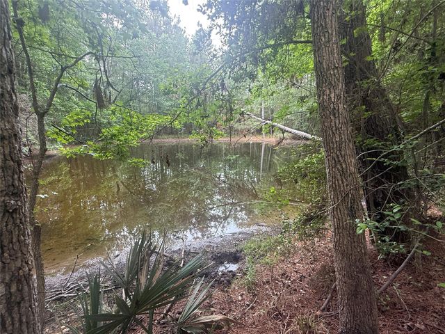 TBD Bilnoski Road, Willis, TX 77378