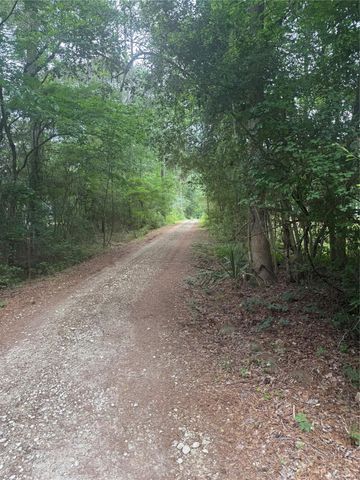 TBD Bilnoski Road, Willis, TX 77378