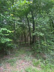TBD Bilnoski Road, Willis, TX 77378