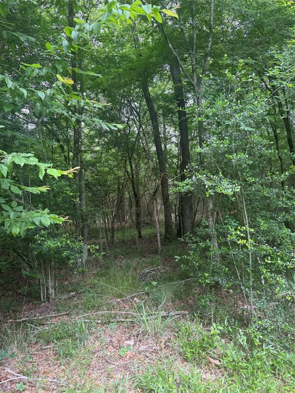 TBD Bilnoski Road, Willis, TX 77378