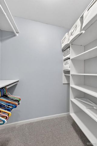 123 Tennessee Walker Way, St Peters, MO 63376