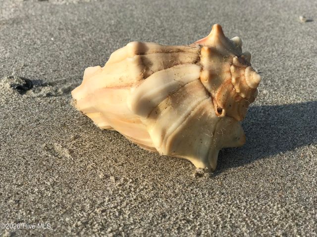 124 NE 34th Street, Oak Island, NC 28465