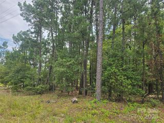 00 Johnny Williams Road 5, Kershaw, SC 29067