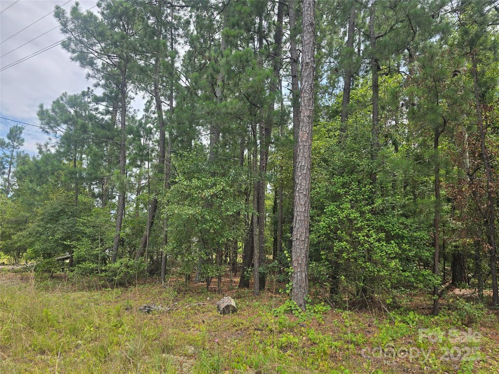 00 Johnny Williams Road 5, Kershaw, SC 29067
