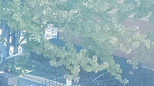 2367 E 70th Place 1A, Chicago, IL 60649