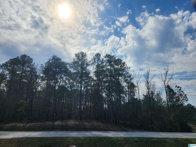 0 HIGHWAY 16, Calera, AL 35040