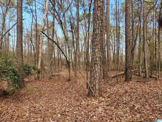 0 HIGHWAY 16, Calera, AL 35040