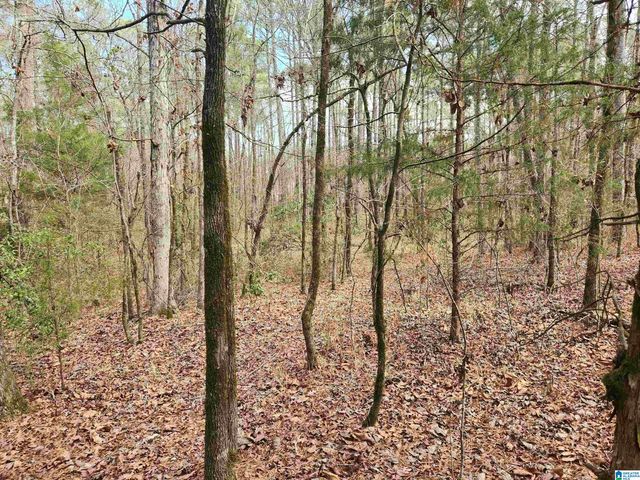 0 HIGHWAY 16, Calera, AL 35040