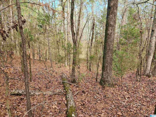 0 HIGHWAY 16, Calera, AL 35040