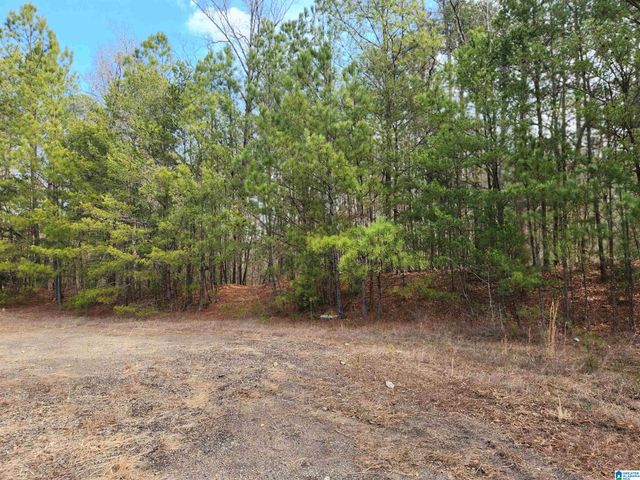0 HIGHWAY 16, Calera, AL 35040