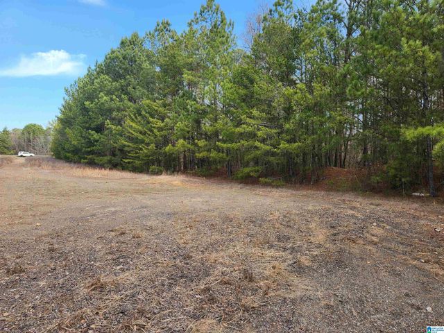 0 HIGHWAY 16, Calera, AL 35040
