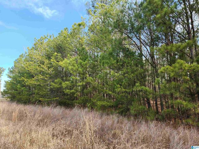 0 HIGHWAY 16, Calera, AL 35040