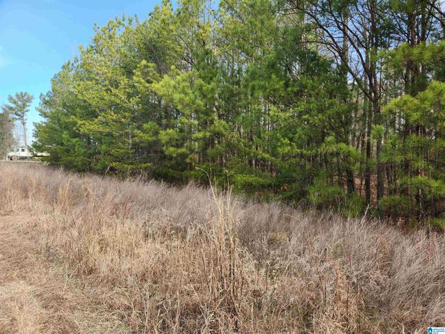 0 HIGHWAY 16, Calera, AL 35040