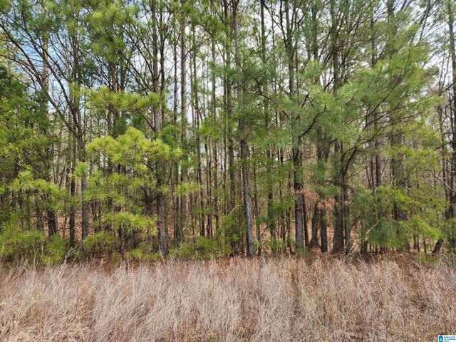 0 HIGHWAY 16, Calera, AL 35040