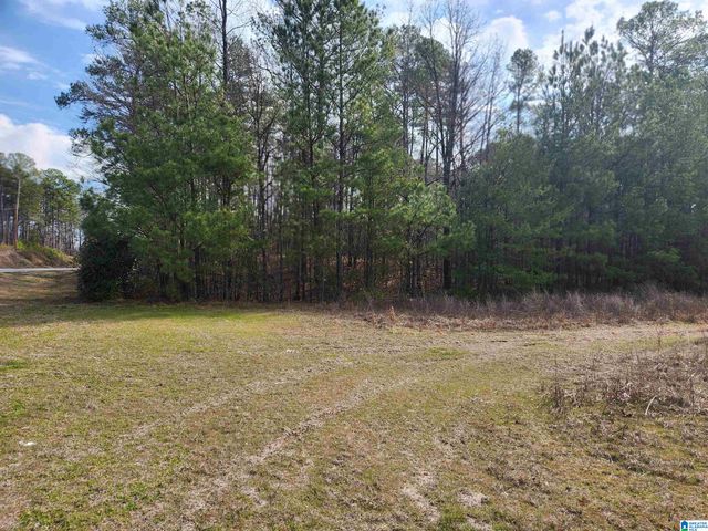 0 HIGHWAY 16, Calera, AL 35040