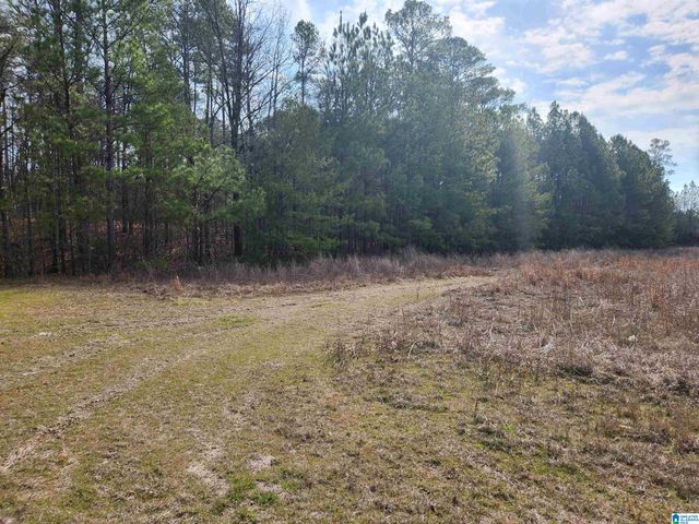 0 HIGHWAY 16, Calera, AL 35040