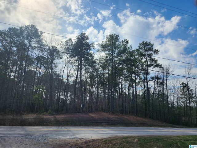 0 HIGHWAY 16, Calera, AL 35040