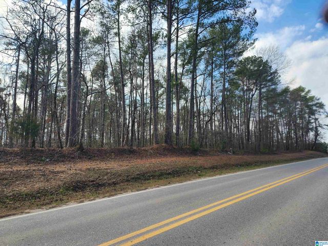 0 HIGHWAY 16, Calera, AL 35040