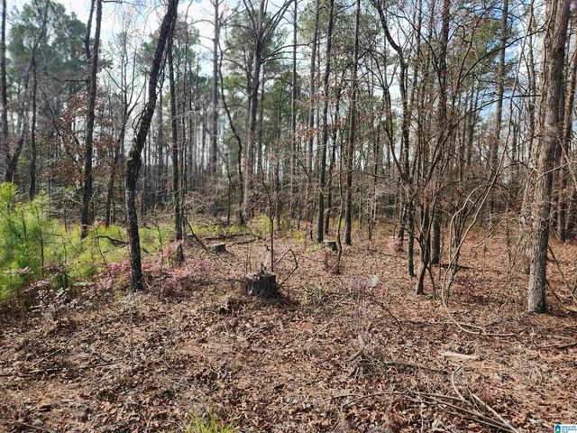 0 HIGHWAY 16, Calera, AL 35040