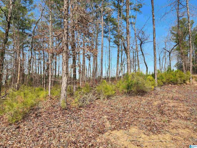 0 HIGHWAY 16, Calera, AL 35040