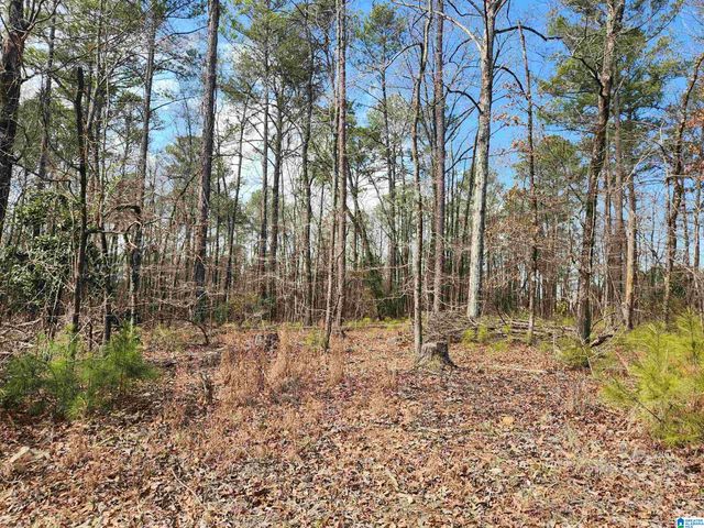0 HIGHWAY 16, Calera, AL 35040