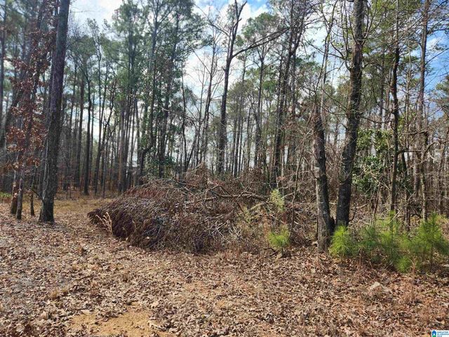 0 HIGHWAY 16, Calera, AL 35040