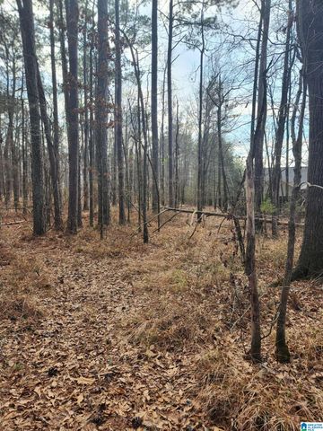 0 HIGHWAY 16, Calera, AL 35040