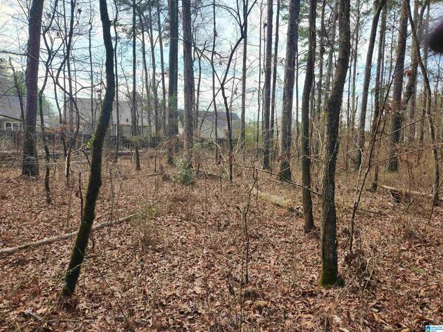 0 HIGHWAY 16, Calera, AL 35040