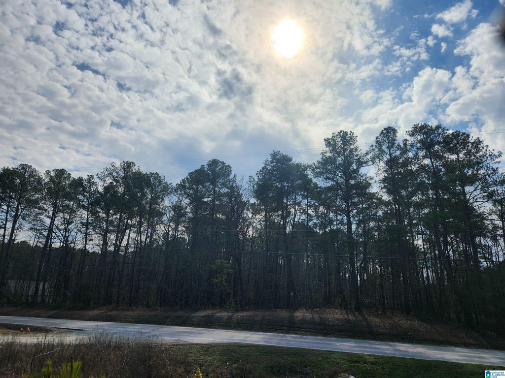 0 HIGHWAY 16, Calera, AL 35040