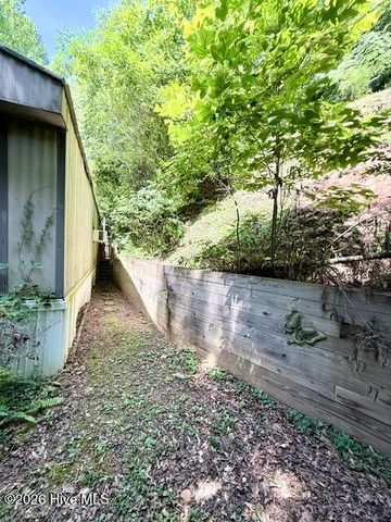89 Dog Hollow Hollow, Robbinsville, NC 28771