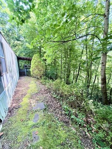 89 Dog Hollow Hollow, Robbinsville, NC 28771