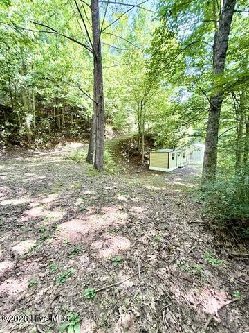 89 Dog Hollow Hollow, Robbinsville, NC 28771