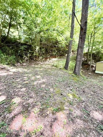 89 Dog Hollow Hollow, Robbinsville, NC 28771