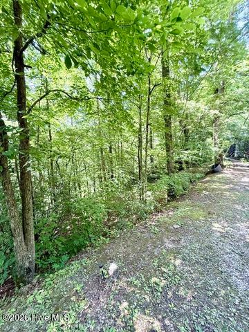 89 Dog Hollow Hollow, Robbinsville, NC 28771