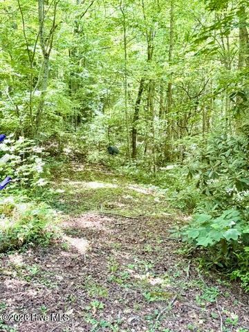 89 Dog Hollow Hollow, Robbinsville, NC 28771