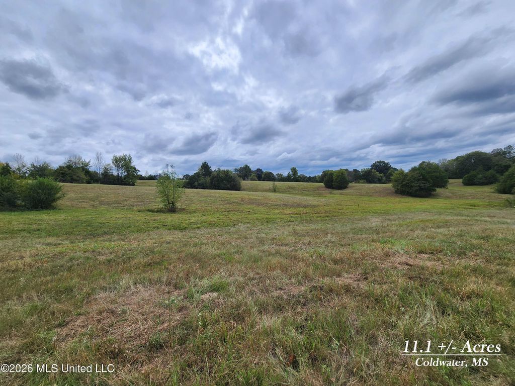 11.1 Bub Jamison Road, Coldwater, MS 38618 — exterior