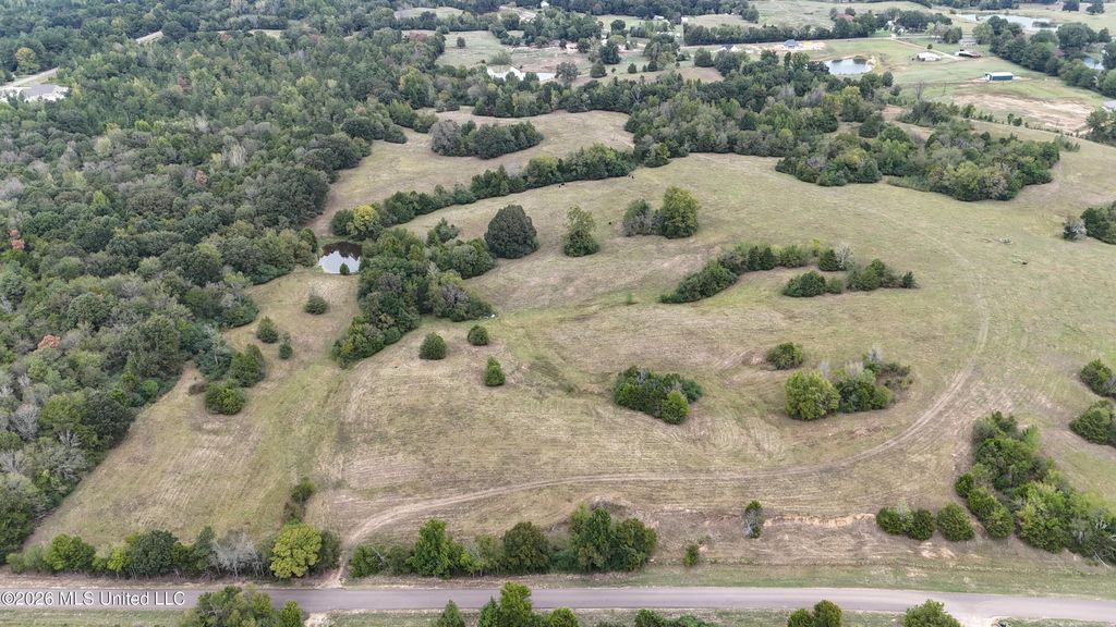 11.1 Bub Jamison Road, Coldwater, MS 38618 — photo 2