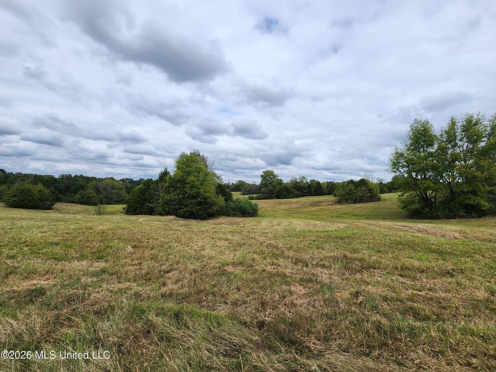 11.1 Bub Jamison Road, Coldwater, MS 38618 — photo 4