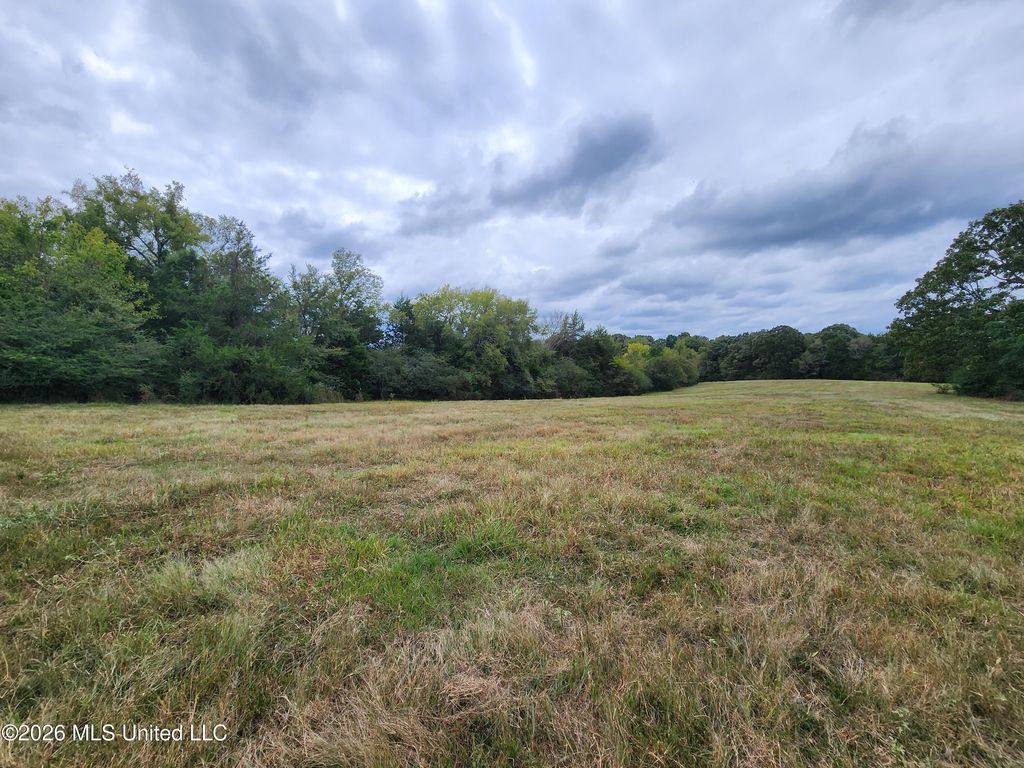 11.1 Bub Jamison Road, Coldwater, MS 38618 — photo 5