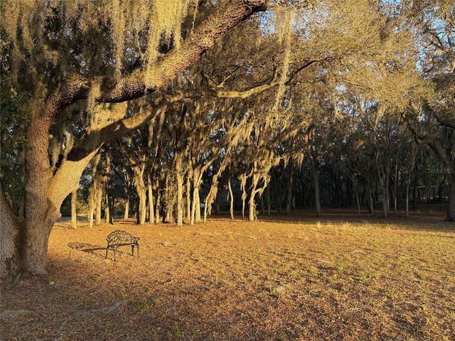 15436 VINOLA DRIVE, Montverde, FL 34756