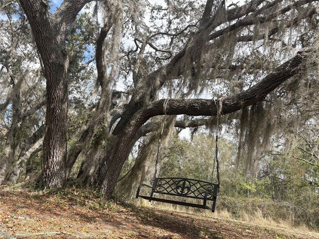 15436 VINOLA DRIVE, Montverde, FL 34756