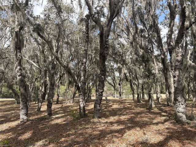 15436 VINOLA DRIVE, Montverde, FL 34756