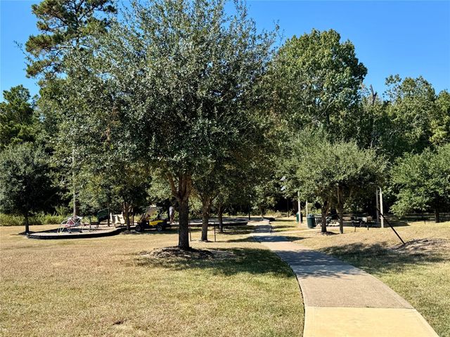 1039 Blue Moon Court, Conroe, TX 77301