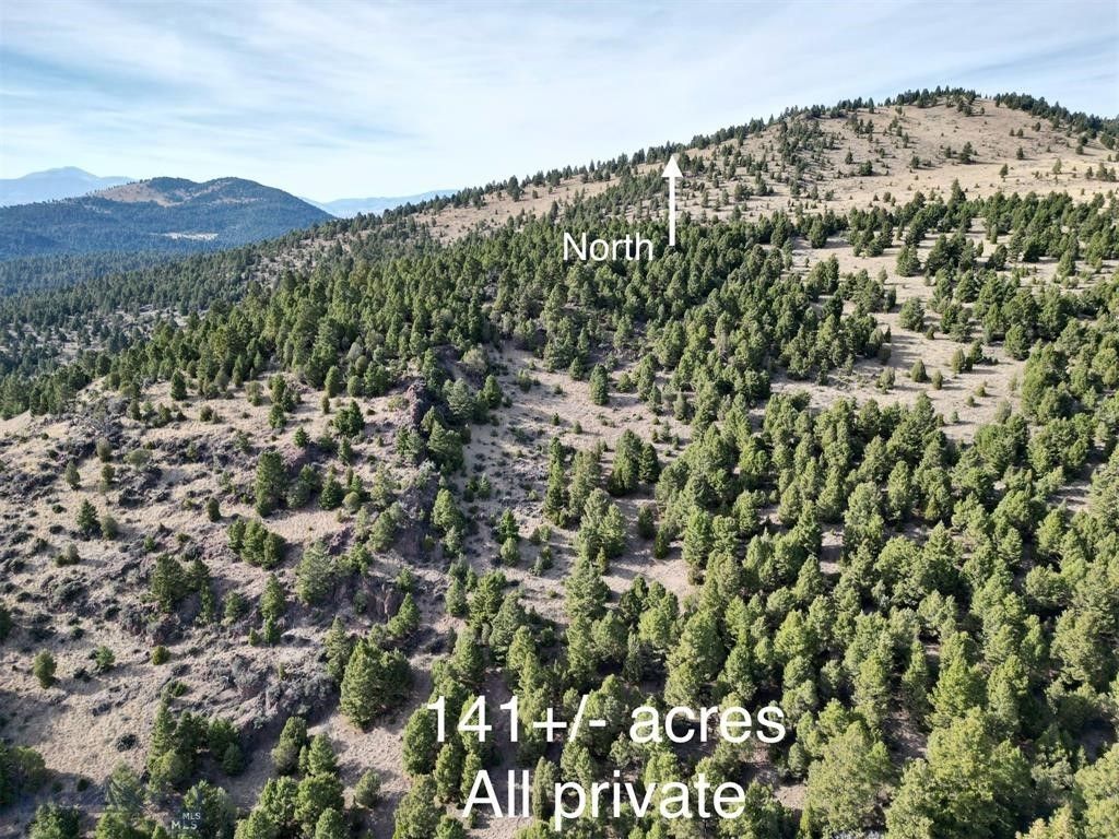 TBD Lookout Trail, Ramsay, MT 59701 photo 10