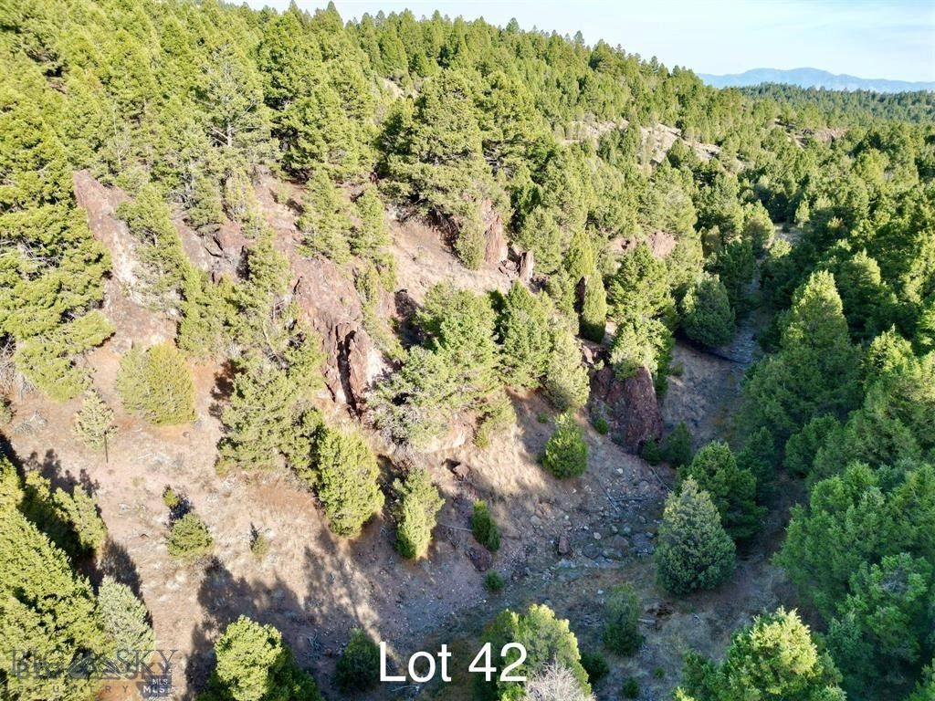 TBD Lookout Trail, Ramsay, MT 59701 photo 11