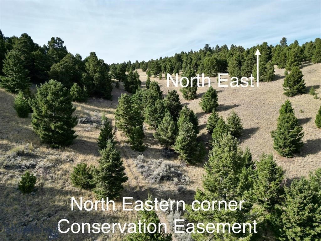 TBD Lookout Trail, Ramsay, MT 59701 photo 19
