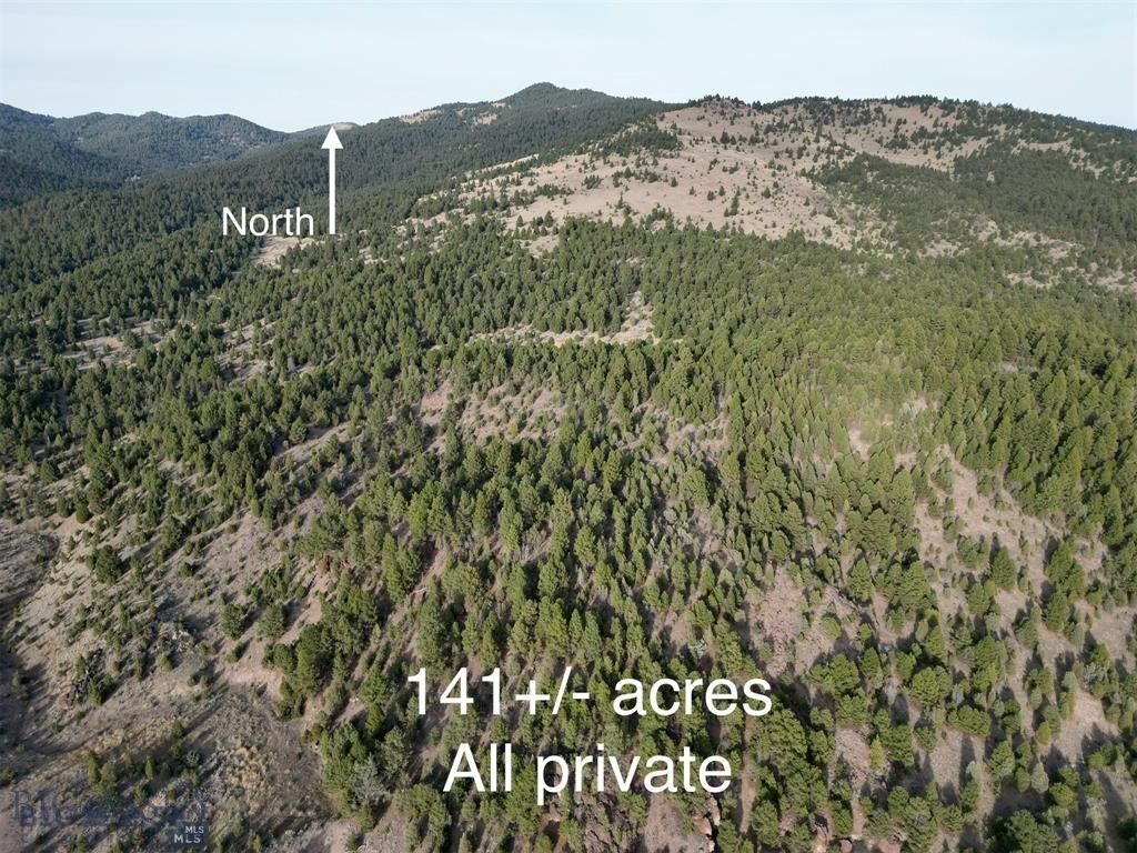 TBD Lookout Trail, Ramsay, MT 59701 photo 20