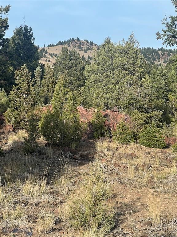 TBD Lookout Trail, Ramsay, MT 59701 photo 25