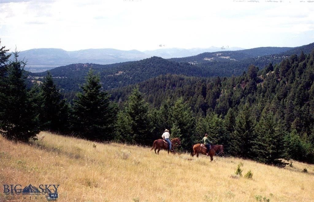TBD Lookout Trail, Ramsay, MT 59701 photo 26